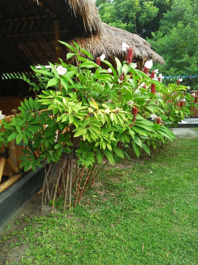 Tua Tua Keladi Bungalows Gili Air Exterior photo