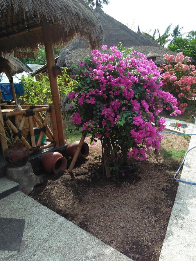 Tua Tua Keladi Bungalows Gili Air Exterior photo